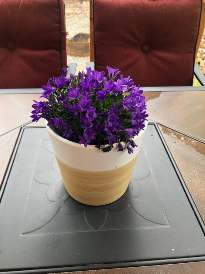 Peaceful Talkeetna Getaway #3别墅 外观 照片